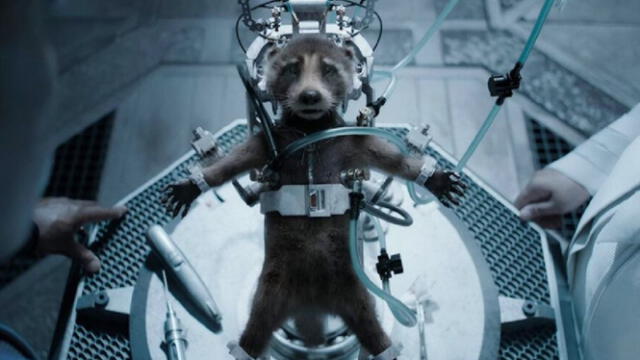 'Guardianes de la galaxia vol. 3' tiene un mensaje oculto en la historia de Rocket Raccoon. Foto: Marvel Studios   